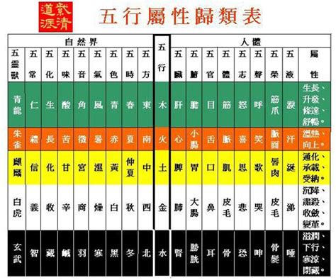 五行歸類表|中醫人體五行歸類